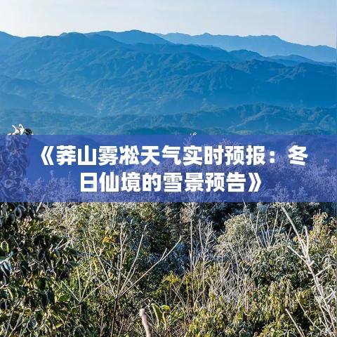 《莽山雾凇天气实时预报：冬日仙境的雪景预告》
