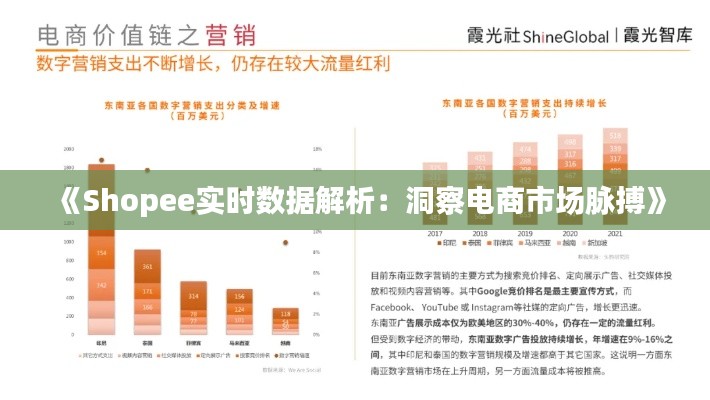 《Shopee实时数据解析：洞察电商市场脉搏》