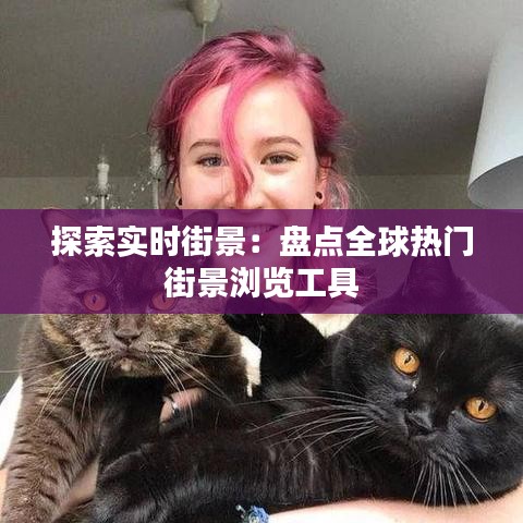 探索实时街景：盘点全球热门街景浏览工具