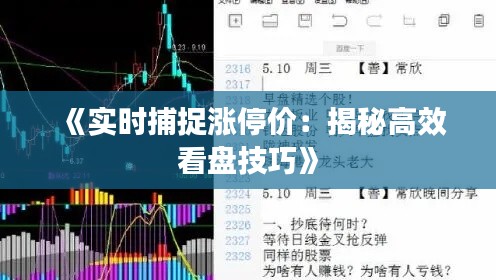 《实时捕捉涨停价：揭秘高效看盘技巧》
