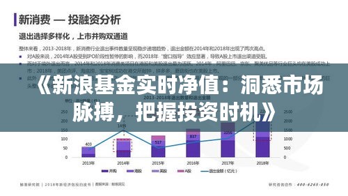 《新浪基金实时净值：洞悉市场脉搏，把握投资时机》