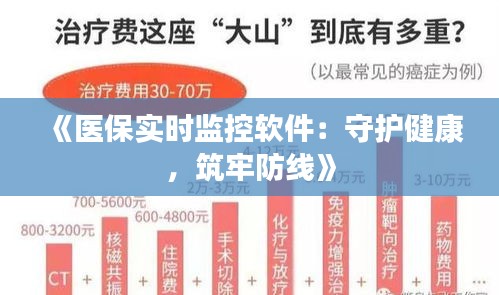 《医保实时监控软件：守护健康，筑牢防线》