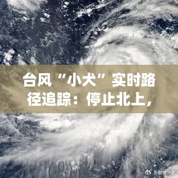 七嘴八张 第3页