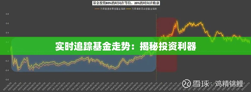 实时追踪基金走势：揭秘投资利器