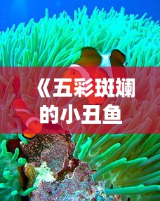 《五彩斑斓的小丑鱼：热门品种图片赏析》