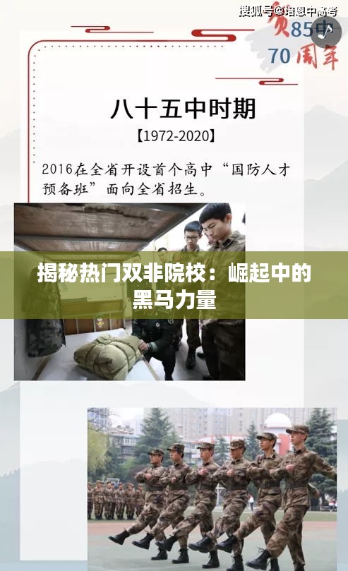 还淳反朴 第3页