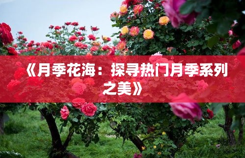 《月季花海：探寻热门月季系列之美》