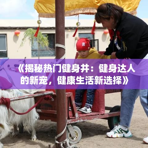 《揭秘热门健身井：健身达人的新宠，健康生活新选择》
