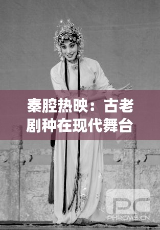 秦腔热映：古老剧种在现代舞台上的魅力绽放