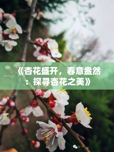 《杏花盛开，春意盎然：探寻杏花之美》