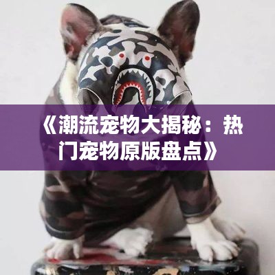 《潮流宠物大揭秘：热门宠物原版盘点》