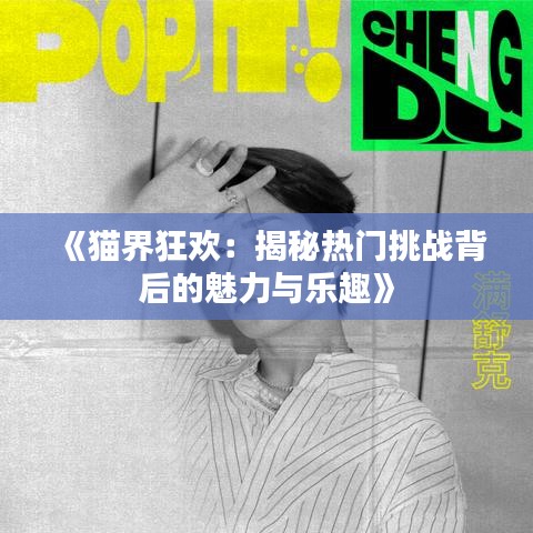《猫界狂欢：揭秘热门挑战背后的魅力与乐趣》