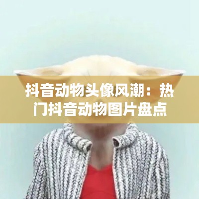 抖音动物头像风潮：热门抖音动物图片盘点