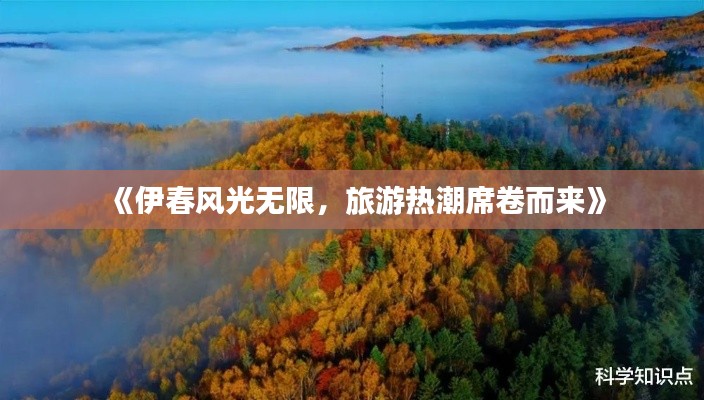 《伊春风光无限，旅游热潮席卷而来》