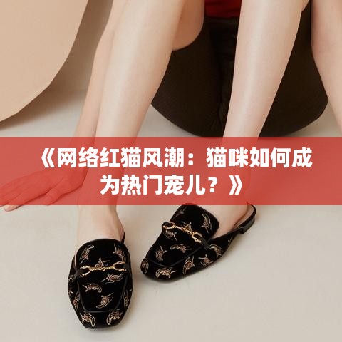 《网络红猫风潮：猫咪如何成为热门宠儿？》