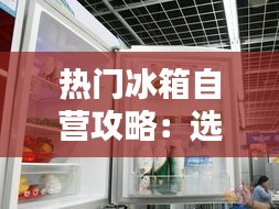 热门冰箱自营攻略：选购与保养全解析