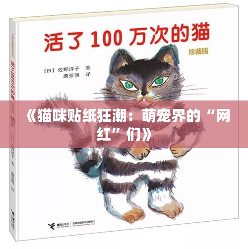 望其项背 第3页
