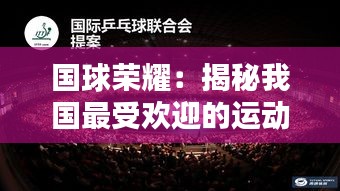 国球荣耀：揭秘我国最受欢迎的运动项目