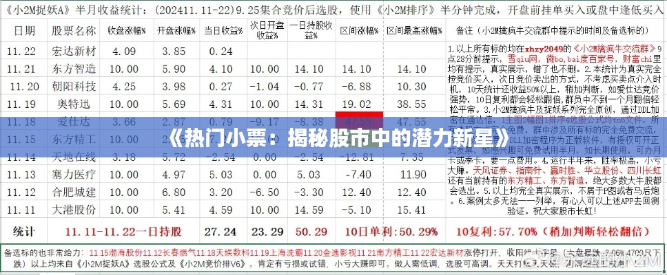 《热门小票：揭秘股市中的潜力新星》
