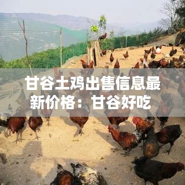 甘谷土鸡出售信息最新价格：甘谷好吃 