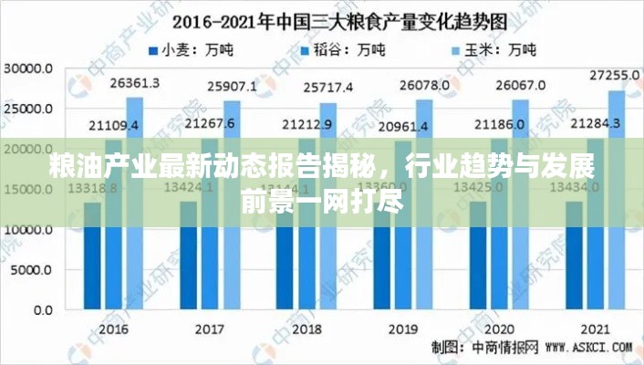 粮油产业最新动态报告揭秘，行业趋势与发展前景一网打尽