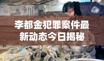 李都金犯罪案件最新动态今日揭秘