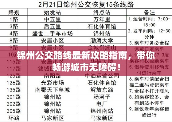 锦州公交路线最新攻略指南，带你畅游城市无障碍！