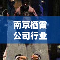 南京栖霞公司行业排名及影响力深度解析