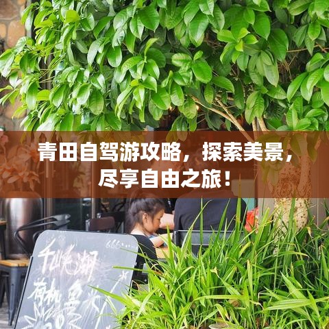 青田自驾游攻略，探索美景，尽享自由之旅！