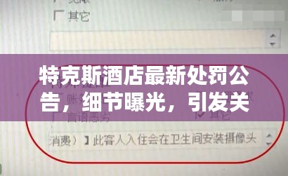 特克斯酒店最新处罚公告，细节曝光，引发关注热议