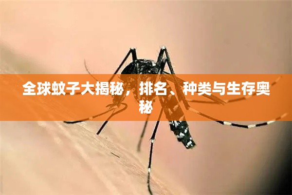 全球蚊子大揭秘，排名、种类与生存奥秘