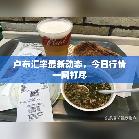 卢布汇率最新动态，今日行情一网打尽