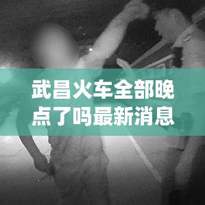 武昌火车全部晚点了吗最新消息：武昌火车站时刻表,武昌列车时刻表查询 