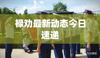 禄劝最新动态今日速递