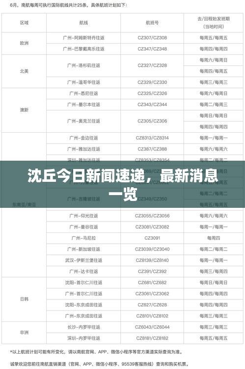 沈丘今日新闻速递，最新消息一览