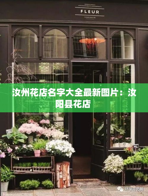 肝胆相照 第3页