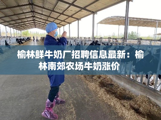 榆林鲜牛奶厂招聘信息最新：榆林南郊农场牛奶涨价 