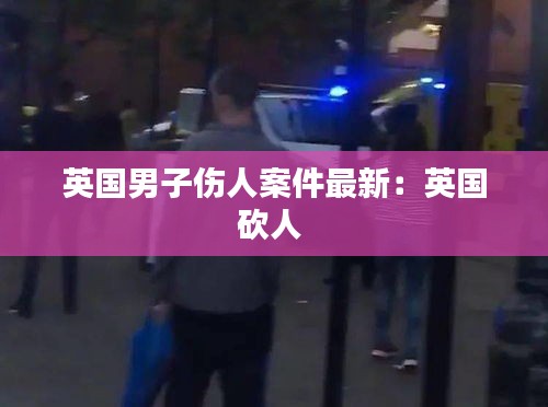 英国男子伤人案件最新：英国砍人 