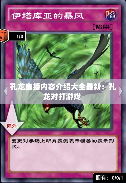 孔龙直播内容介绍大全最新：孔龙对打游戏 