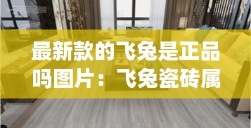 最新款的飞兔是正品吗图片：飞兔瓷砖属于几线品牌 