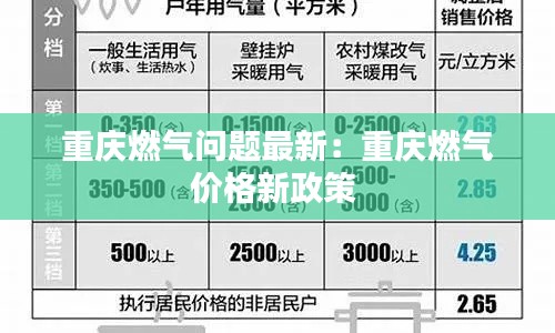 重庆燃气问题最新：重庆燃气价格新政策 