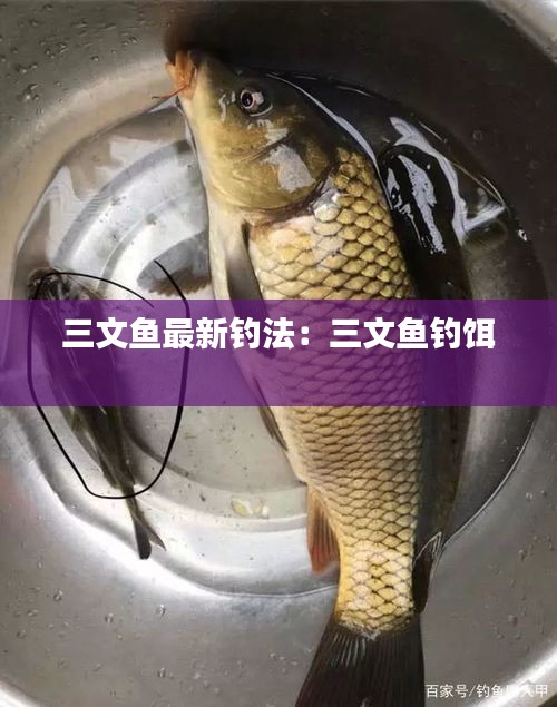 三文鱼最新钓法：三文鱼钓饵 