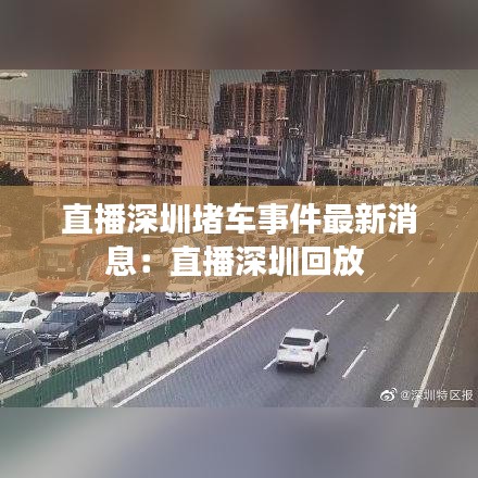 直播深圳堵车事件最新消息：直播深圳回放 