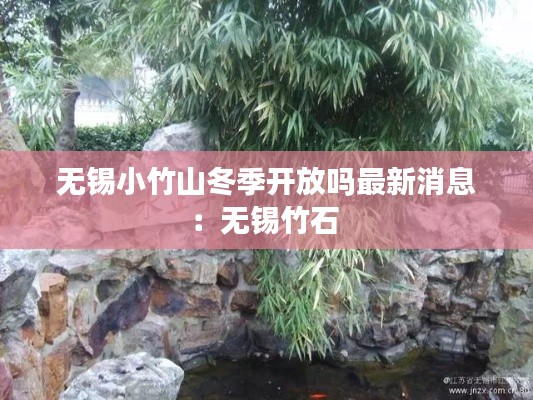 无锡小竹山冬季开放吗最新消息：无锡竹石 