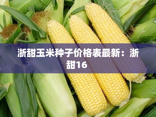 浙甜玉米种子价格表最新：浙甜16 