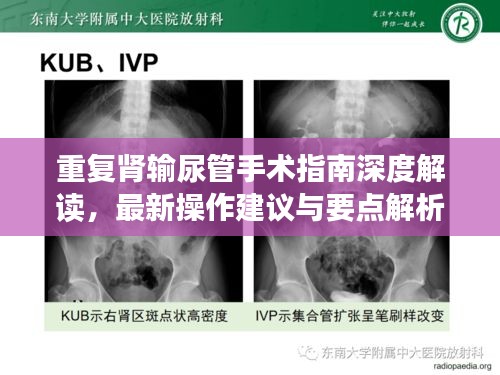 重复肾输尿管手术指南深度解读，最新操作建议与要点解析