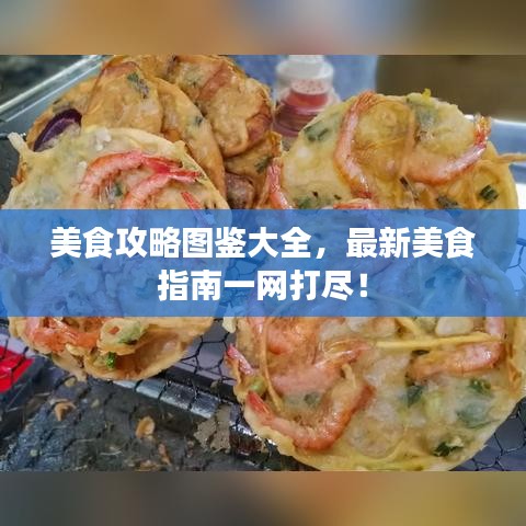 美食攻略图鉴大全，最新美食指南一网打尽！