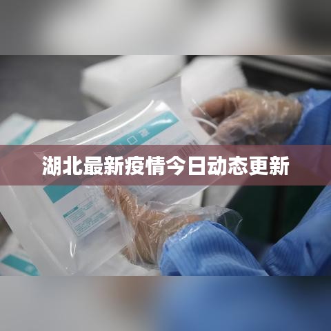 湖北最新疫情今日动态更新
