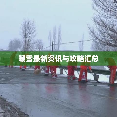 暖雪最新资讯与攻略汇总