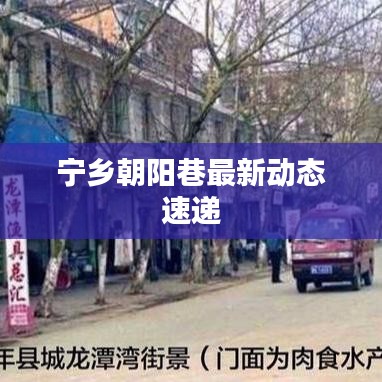 宁乡朝阳巷最新动态速递